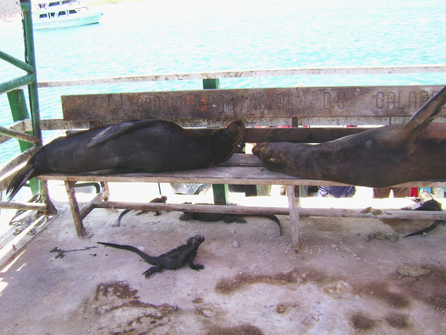 Galapagos